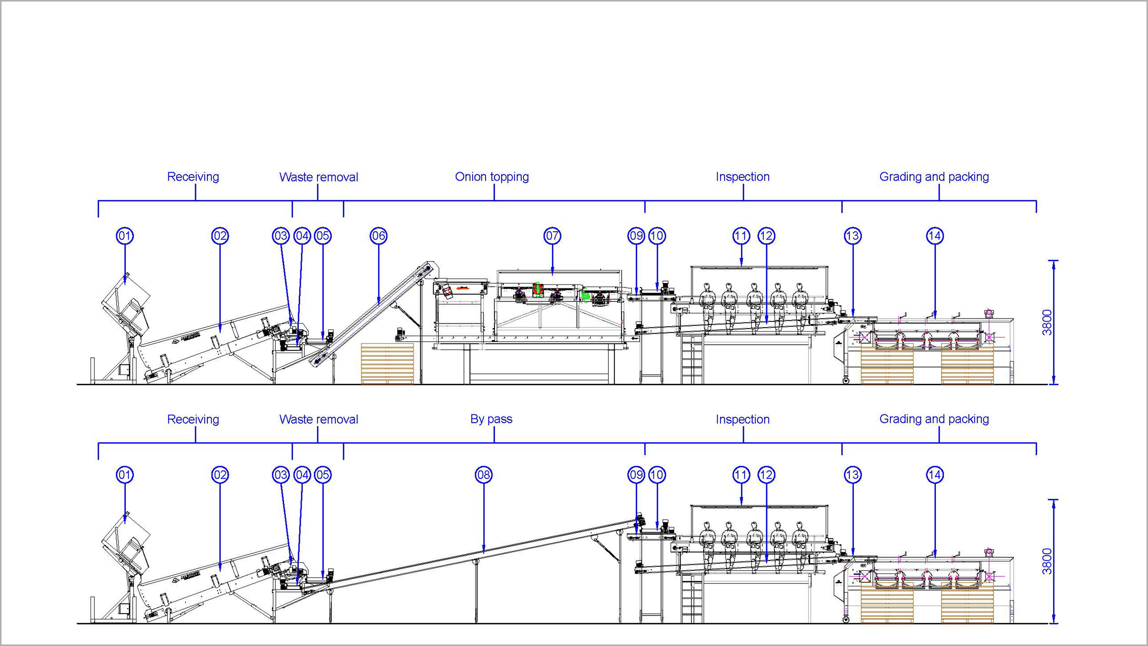 2d onion processing line A3 side view