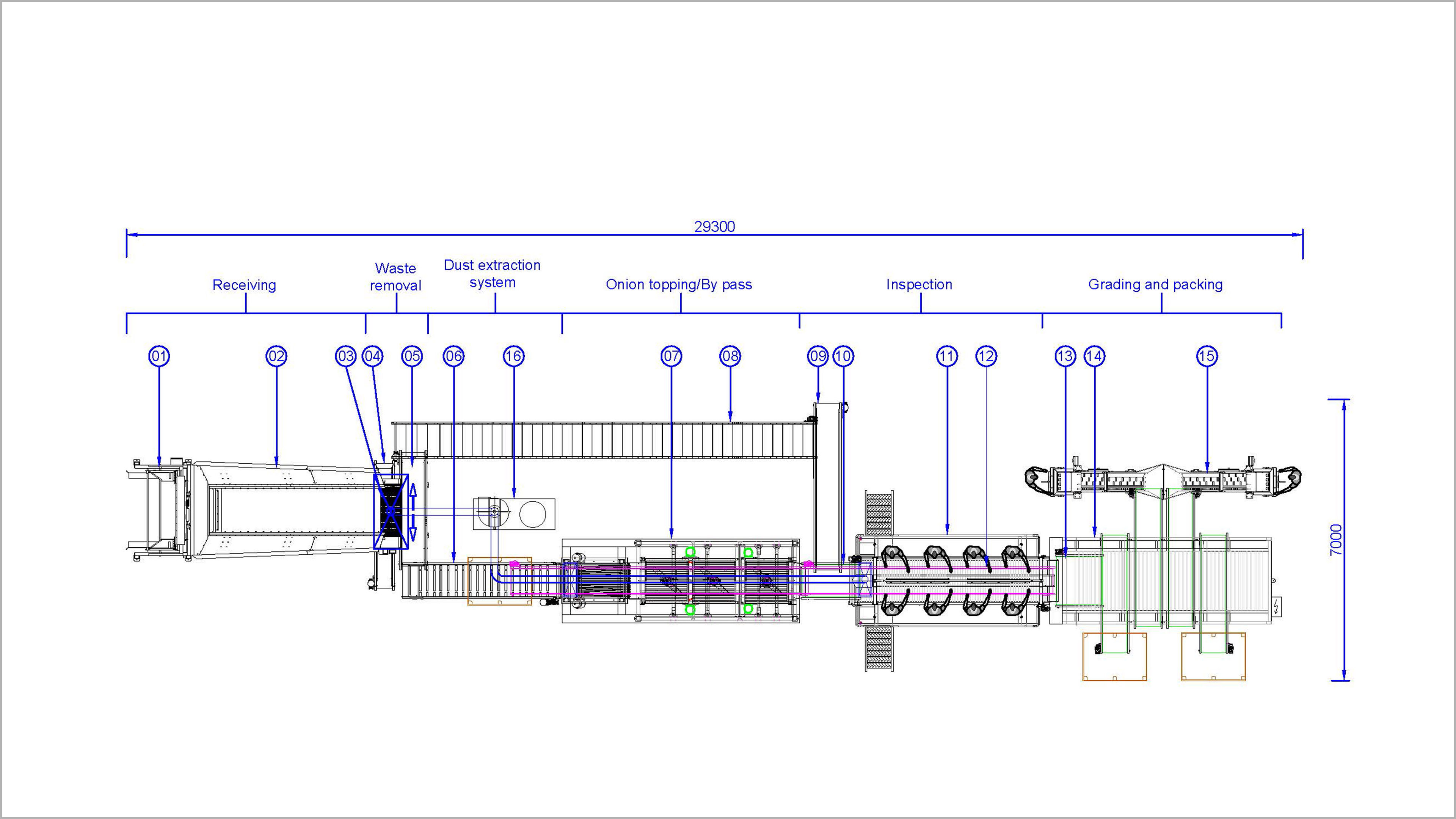 2d onion processing line A3 top view