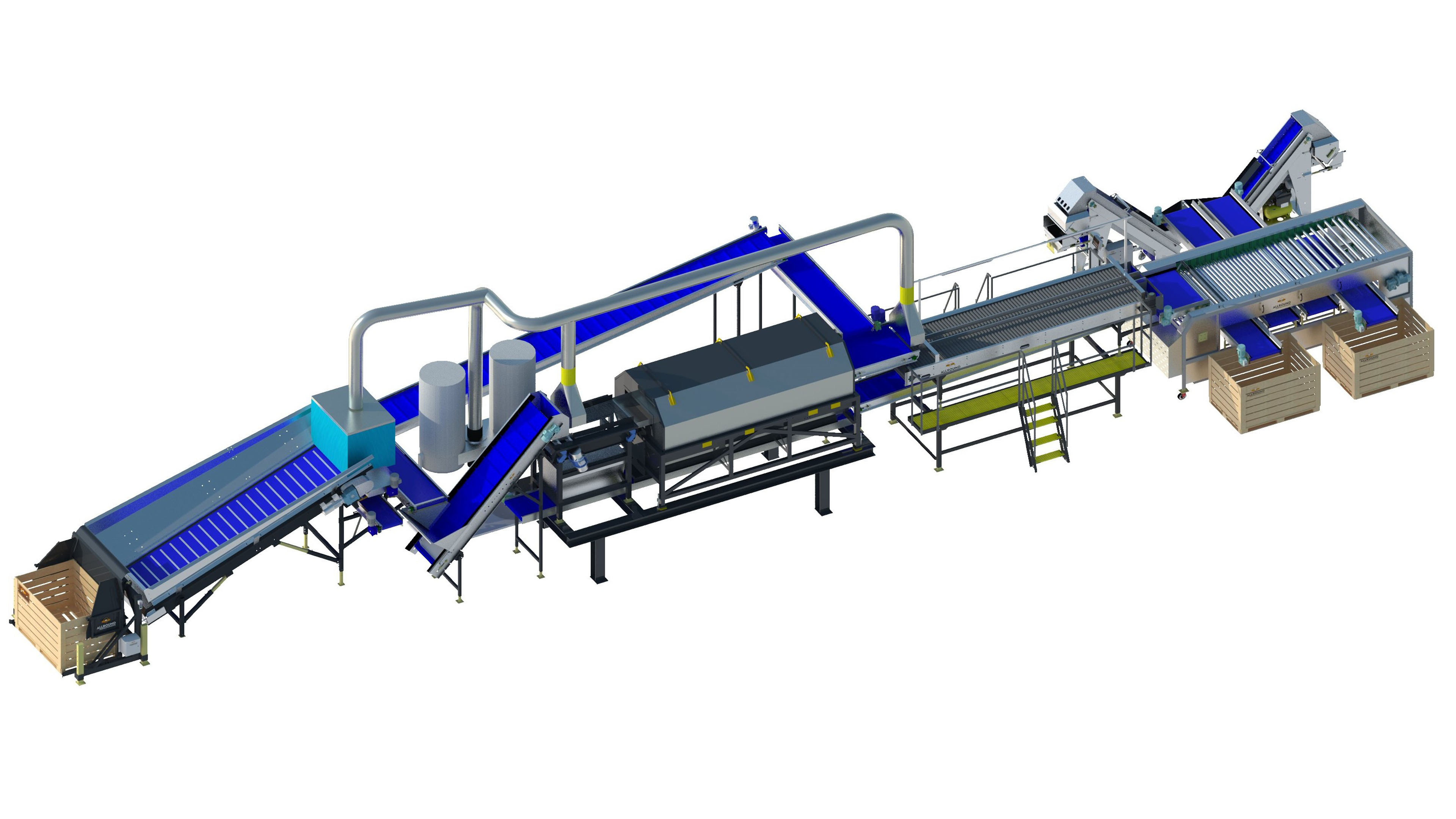 onion-processing-A3-series.jpg