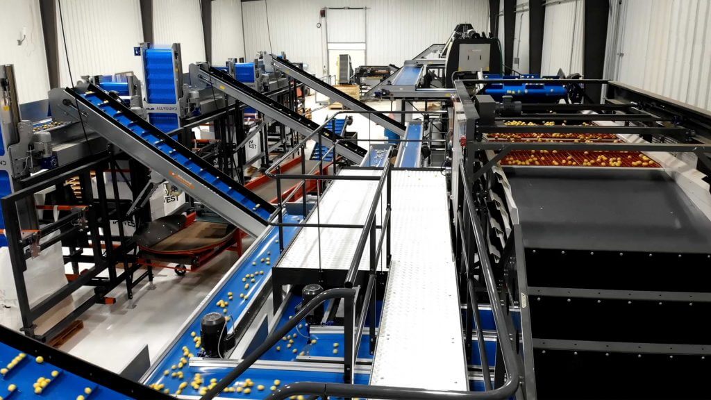 allroundvp-potato-processing-lines allroundvp-potato-processing-lines